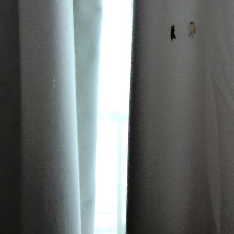 Curtains with moths